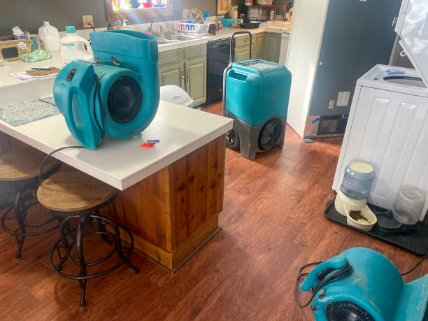 Best Basement water damage restoration  in Wortham, TX