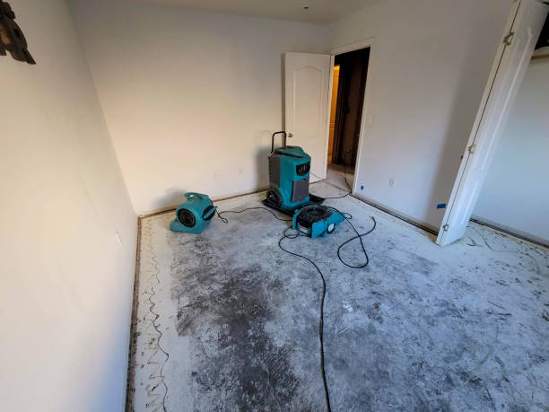 Water damage restoration mold remediation in Wortham, TX