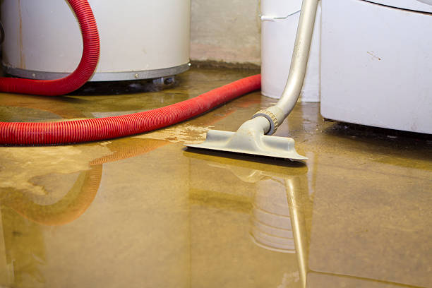 Best Water damage restoration near me  in Wortham, TX
