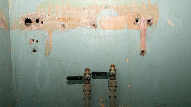 Best Fire Damage Restoration  in Wortham, TX