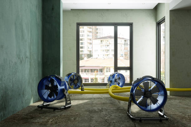 Best Emergency water damage restoration  in Wortham, TX