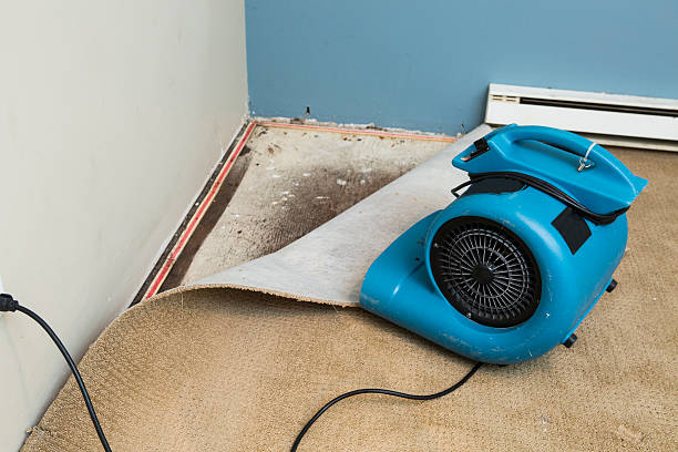 Best Sewage cleanup and water damage restoration  in Wortham, TX